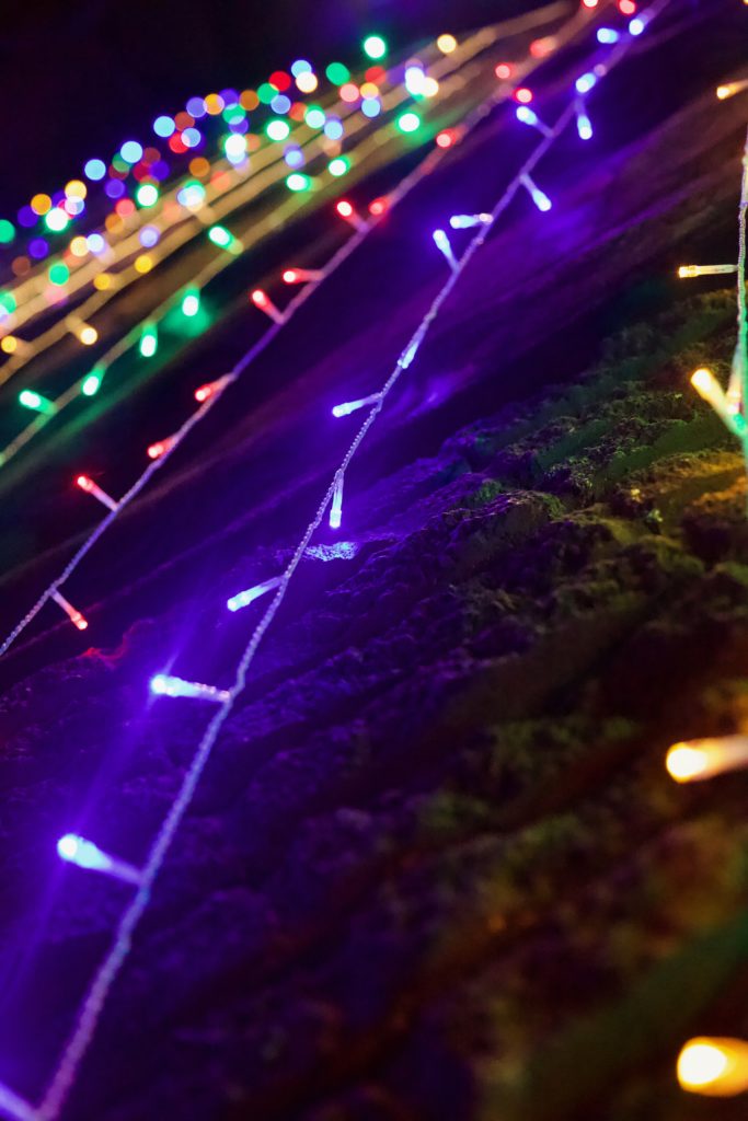 Strands of colored lights hanging from a wall