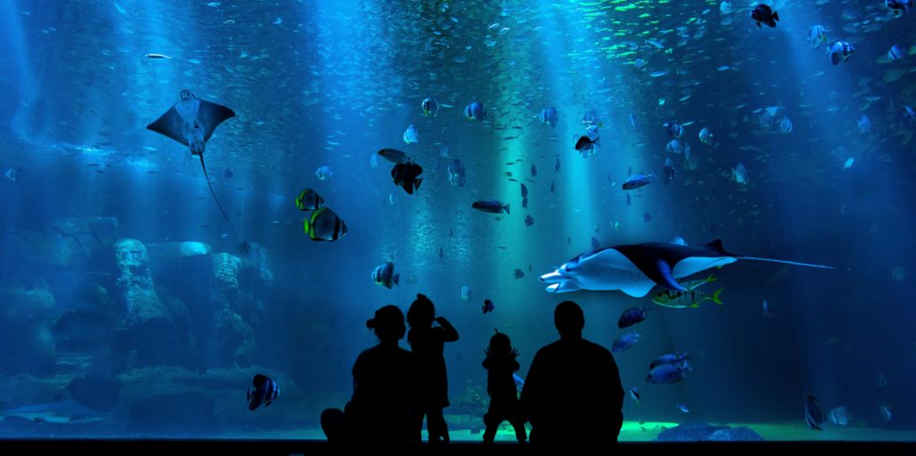 Silhouette of family looking at large aquarium window with fish 