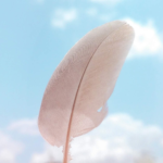 photo of a bird feather against a bright sky with clouds