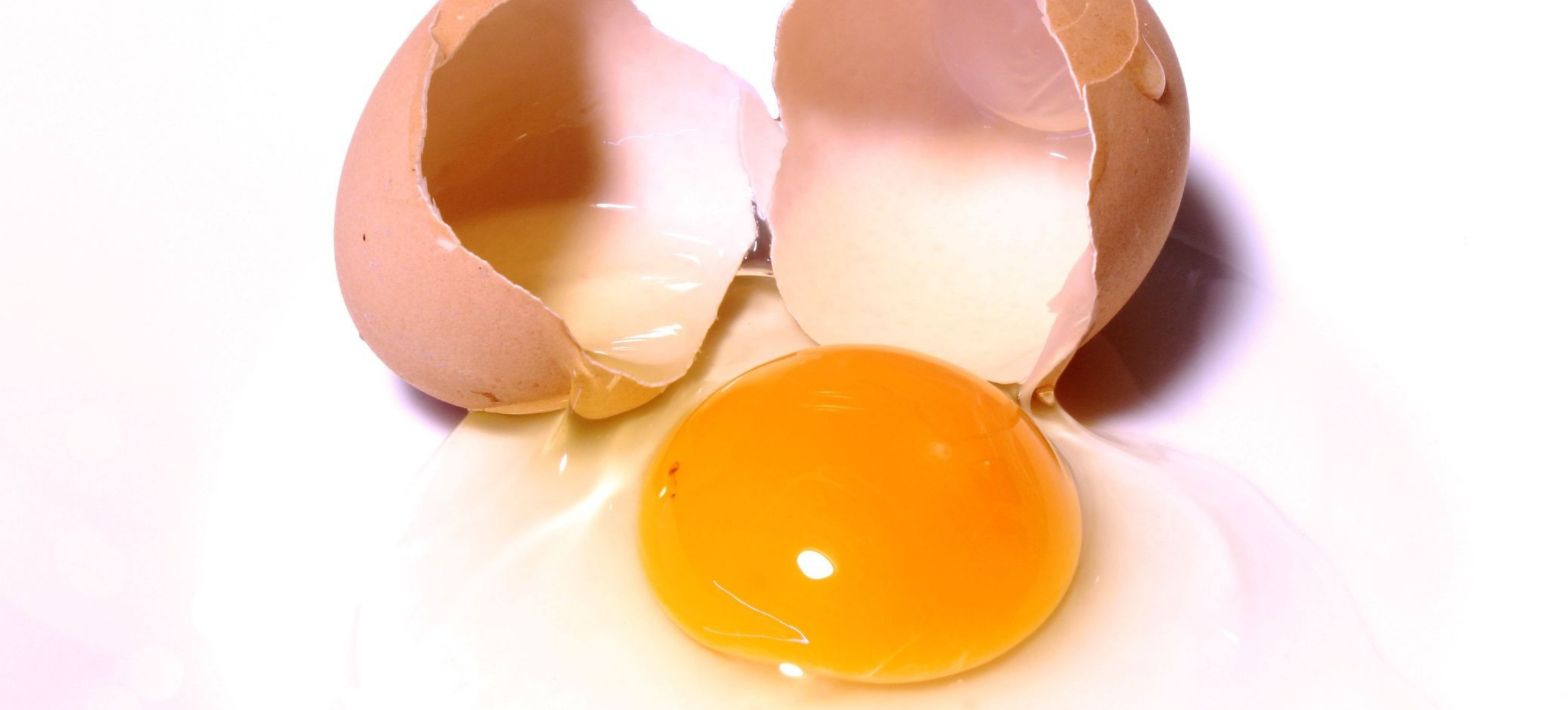 photo of a cracked-open egg with the empty shells sitting behind it