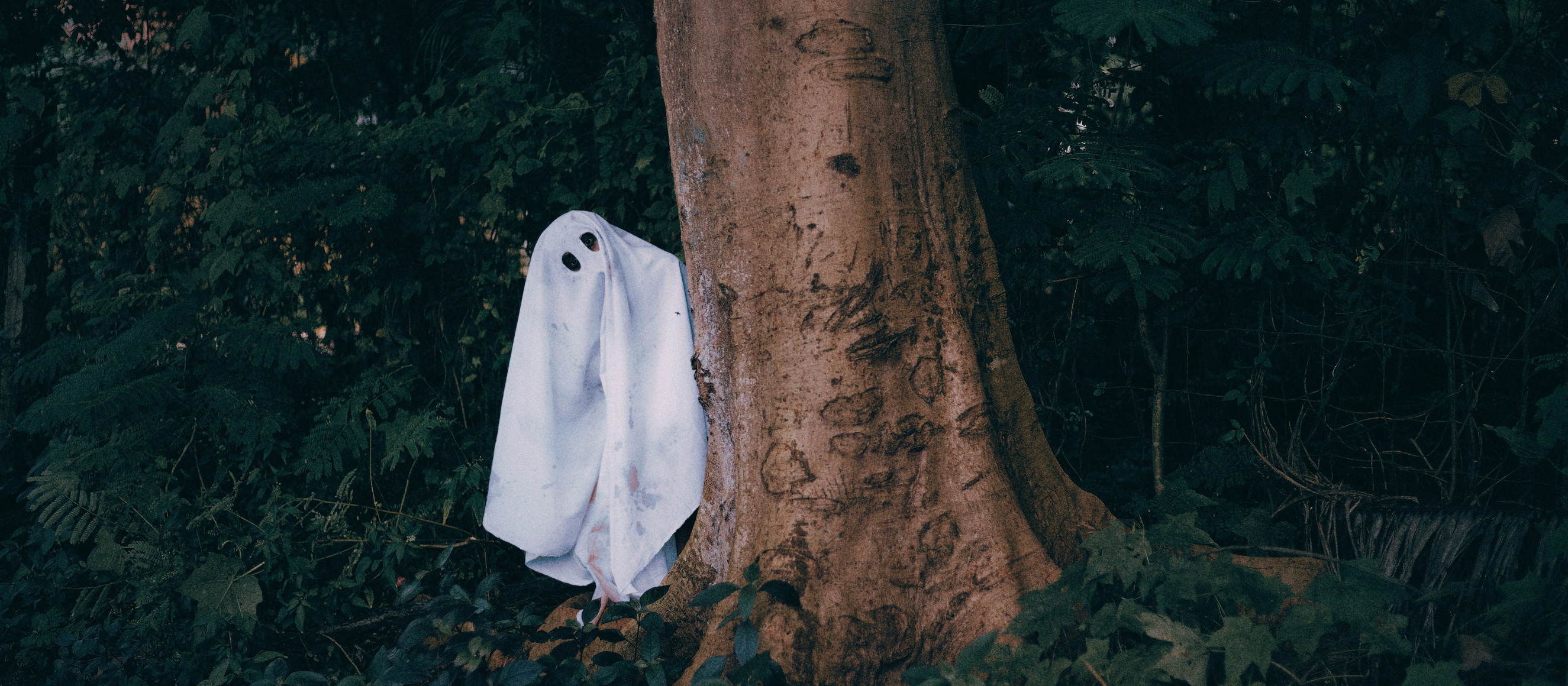 Photo of a person in a ghost costume hiding behind a tree