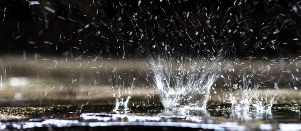 close-up photo of rainfall