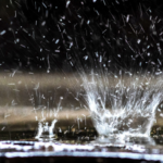 close-up photo of rainfall