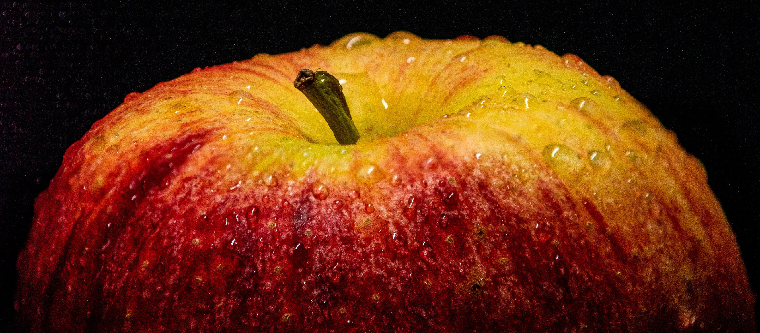 Closeup photo of a wet apple