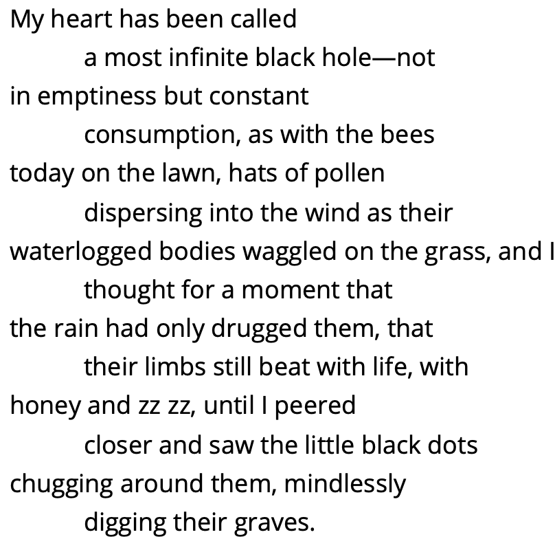 My heart has been called
a most infinite black hole—not 
in emptiness but constant 
consumption, as with the bees 
today on the lawn, hats of pollen 
dispersing into the wind as their 
waterlogged bodies waggled on the grass, and I
thought for a moment that 
the rain had only drugged them, that 
their limbs still beat with life, with
honey and zz zz, until I peered
closer and saw the little black dots
chugging around them, mindlessly
digging their graves. 