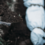 Photo of a shovel dropping dirt on a covered dead body