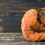 Photo of a rotting jack o'lantern